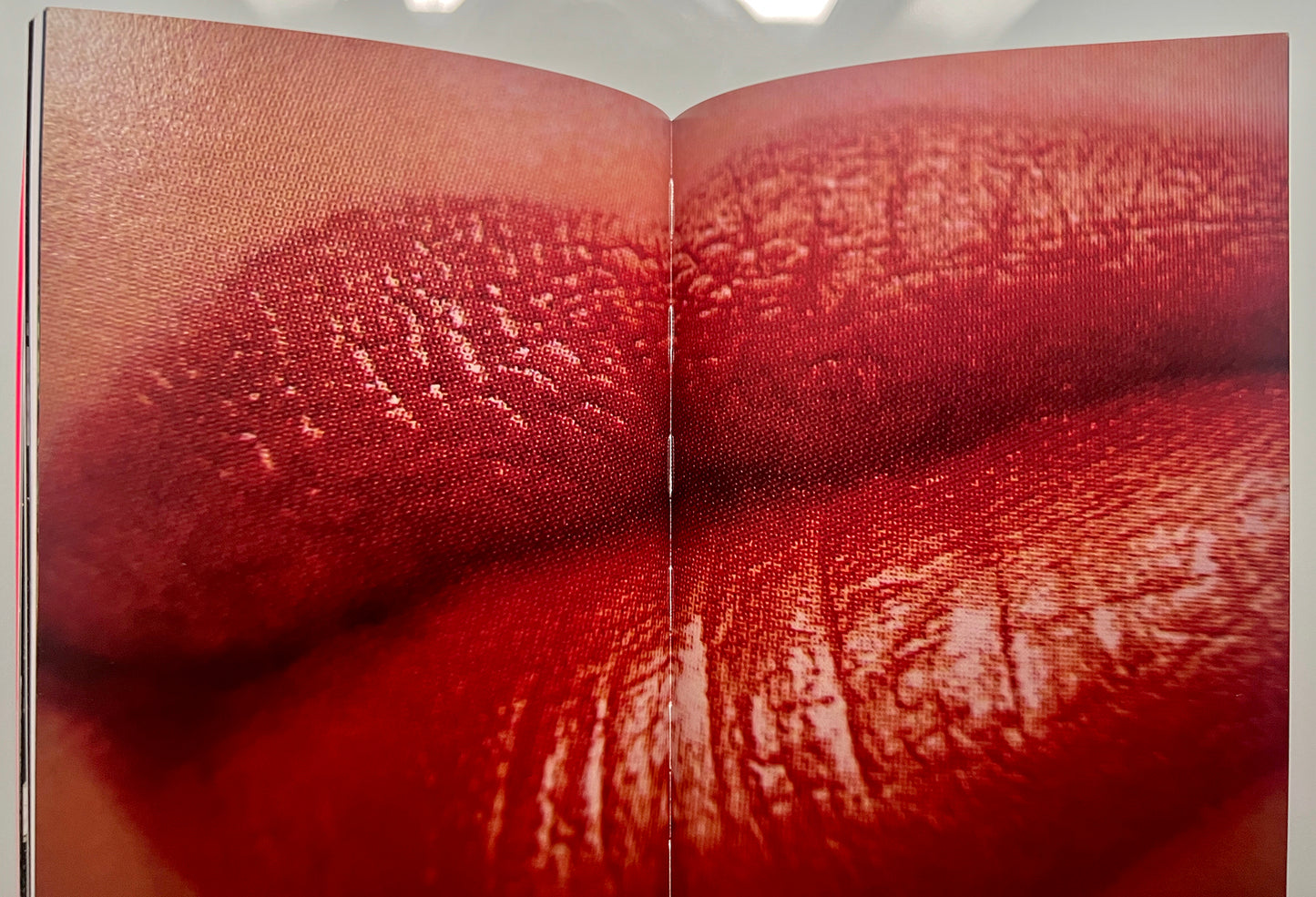 HOW I TAKE PHOTOGRAPHS DAIDO MORIYAMI