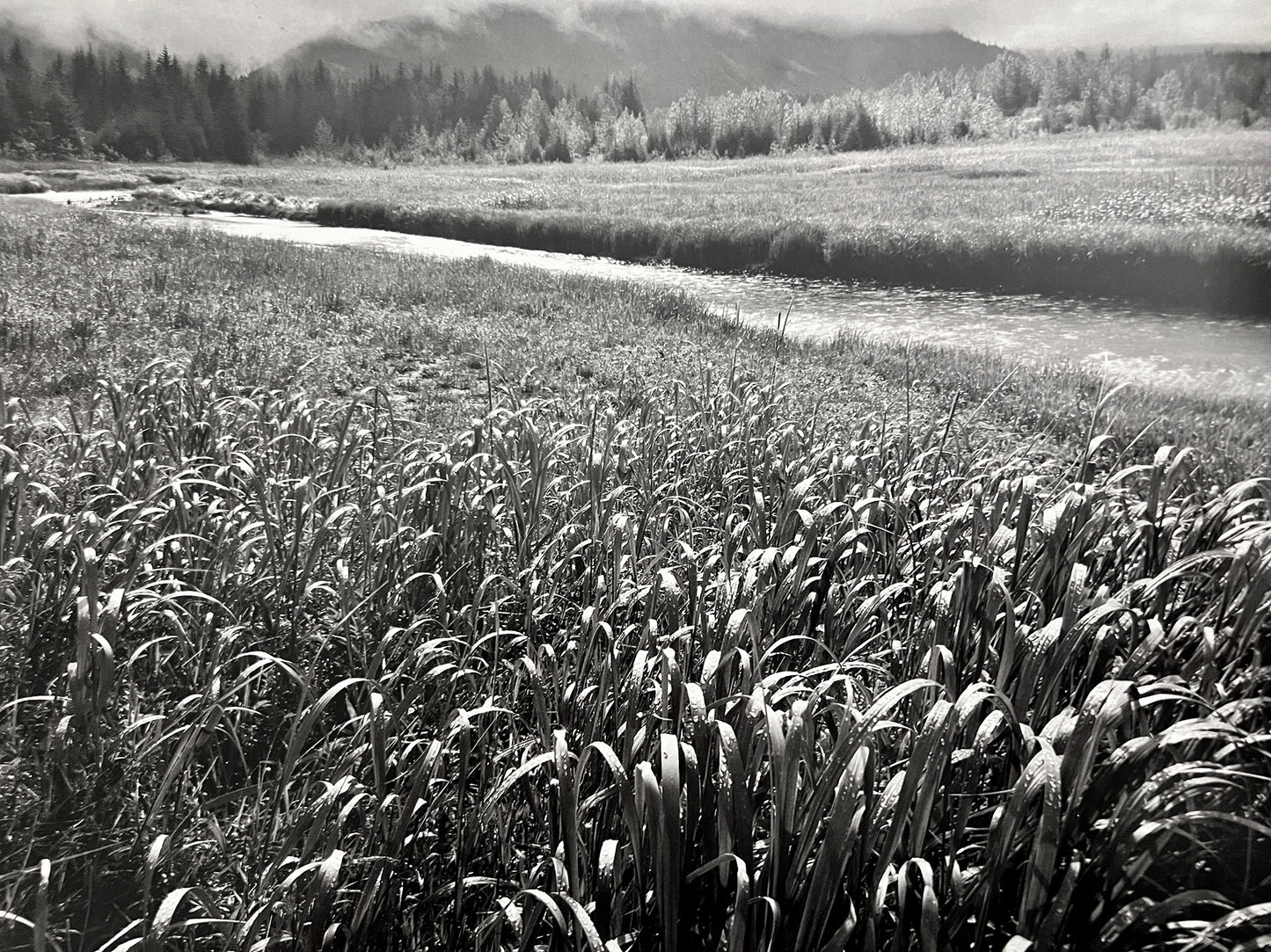 ANSEL ADAMS -THE AMERICAN WILDERNESS