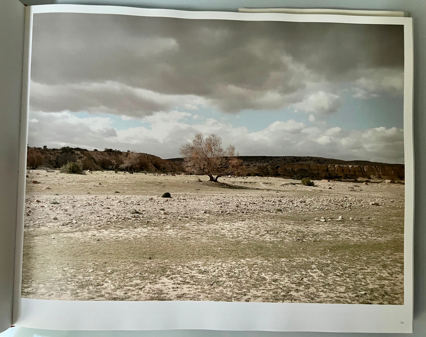 TOPOGRAPHY IS FATE.NORTH AFRICAN BATTLEFIELDS OF WORLD WAR 2.SIGNED