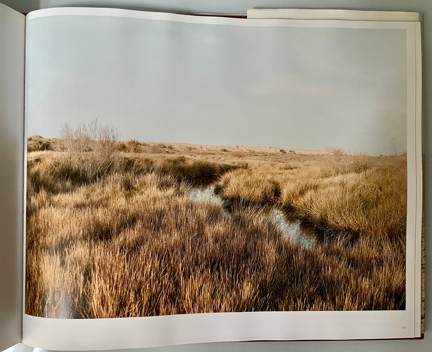 TOPOGRAPHY IS FATE.NORTH AFRICAN BATTLEFIELDS OF WORLD WAR 2.SIGNED