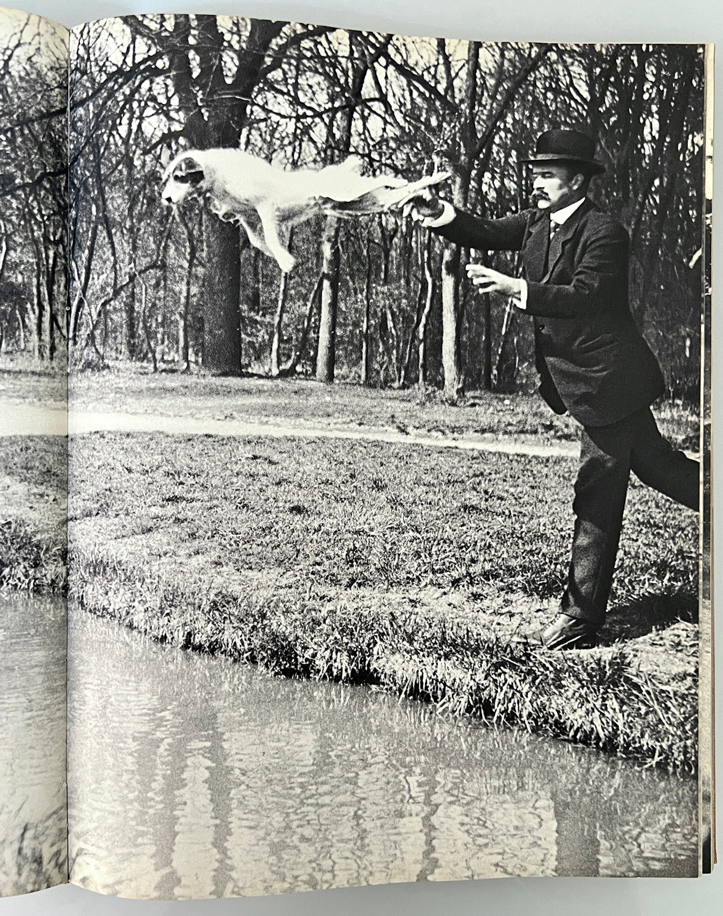 LARTIGUE.DIARY OF A CENTURY