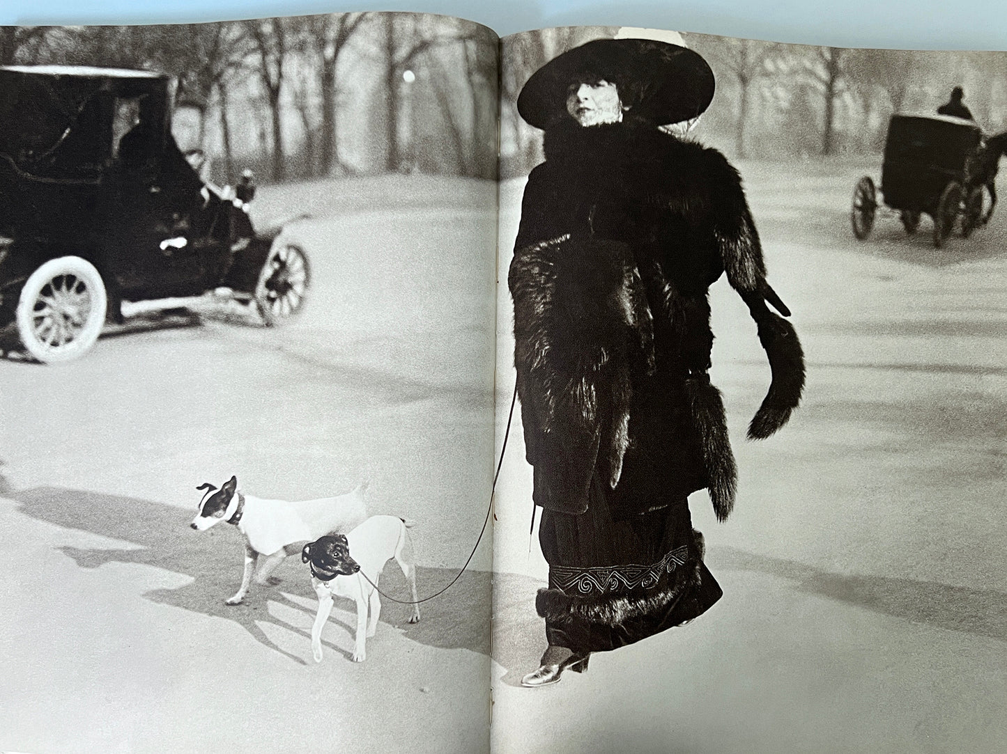 LARTIGUE.DIARY OF A CENTURY