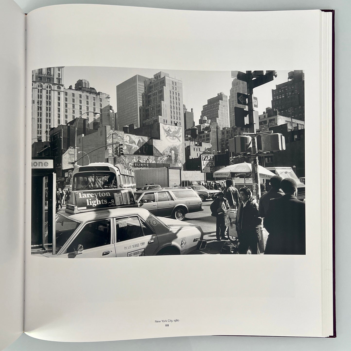 LEE FRIEDLANDER.REAL ESTATE