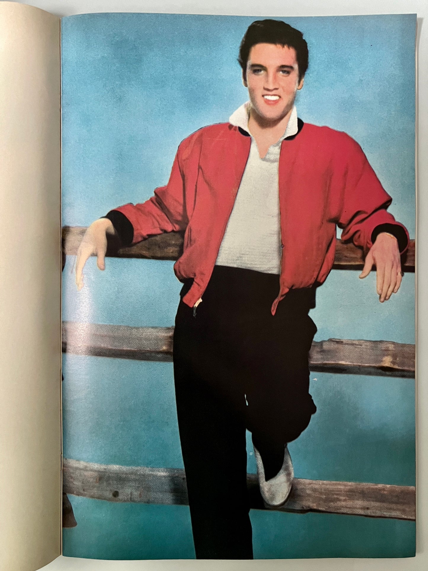 ELVIS POSTER BOOK 2