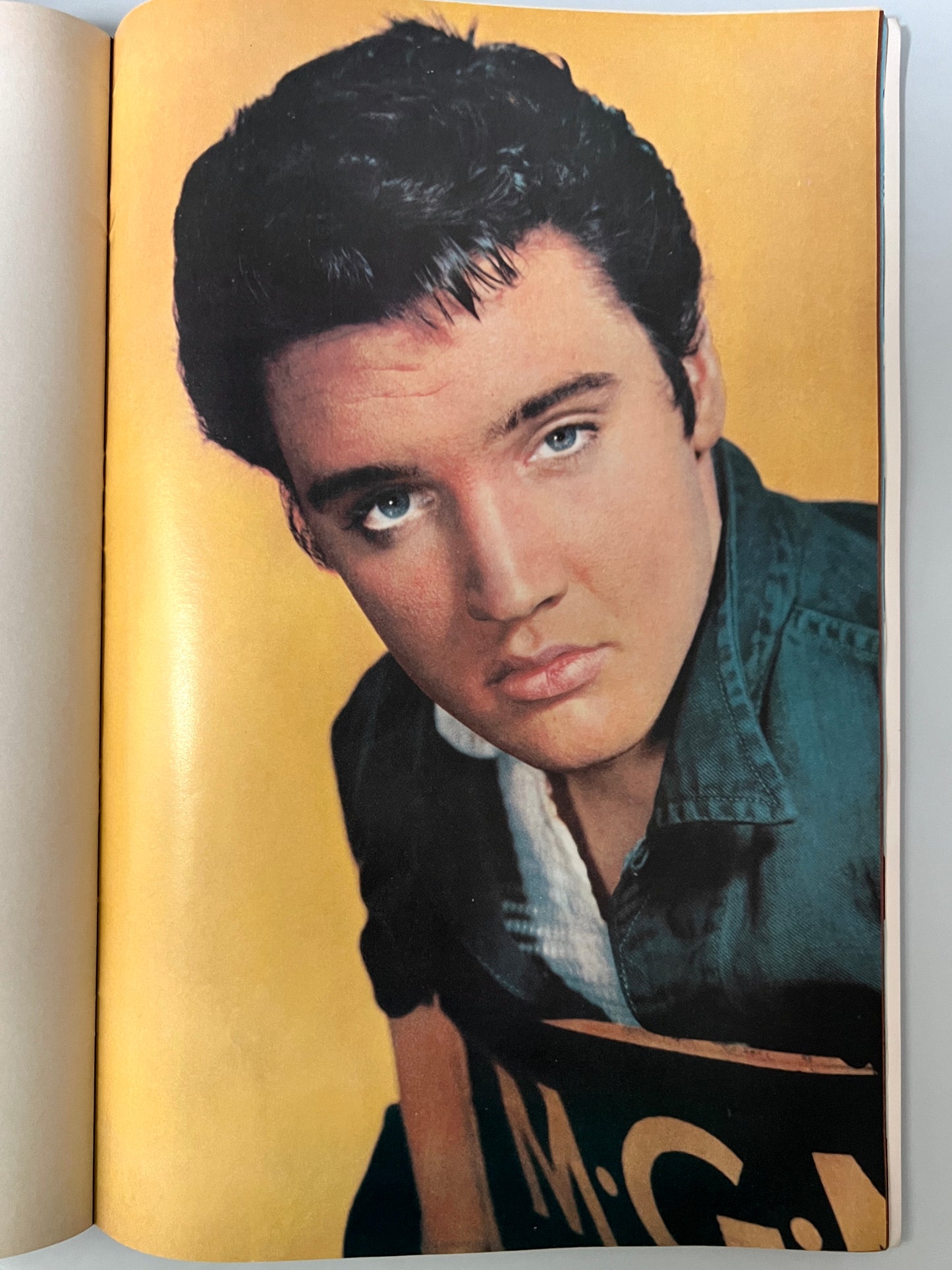 ELVIS POSTER BOOK 2